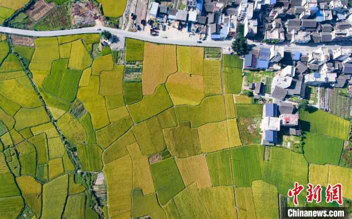  贵州3乡镇32村入选全国乡村治理示范村镇