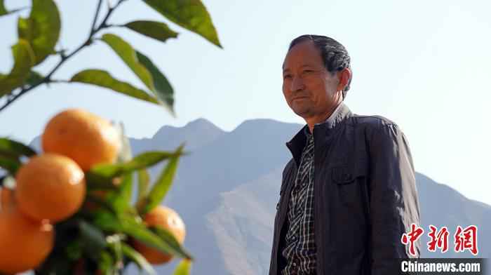 图为田济明讲述自己的“种橘史”。 魏建军 摄 甘肃陇南种橘人“居家”野狐沟三十载:橘子红了,山头绿了